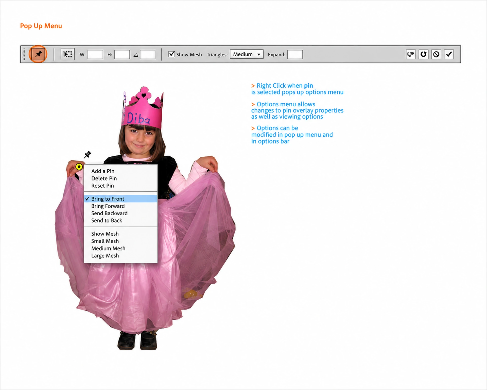 Pin's popup menu