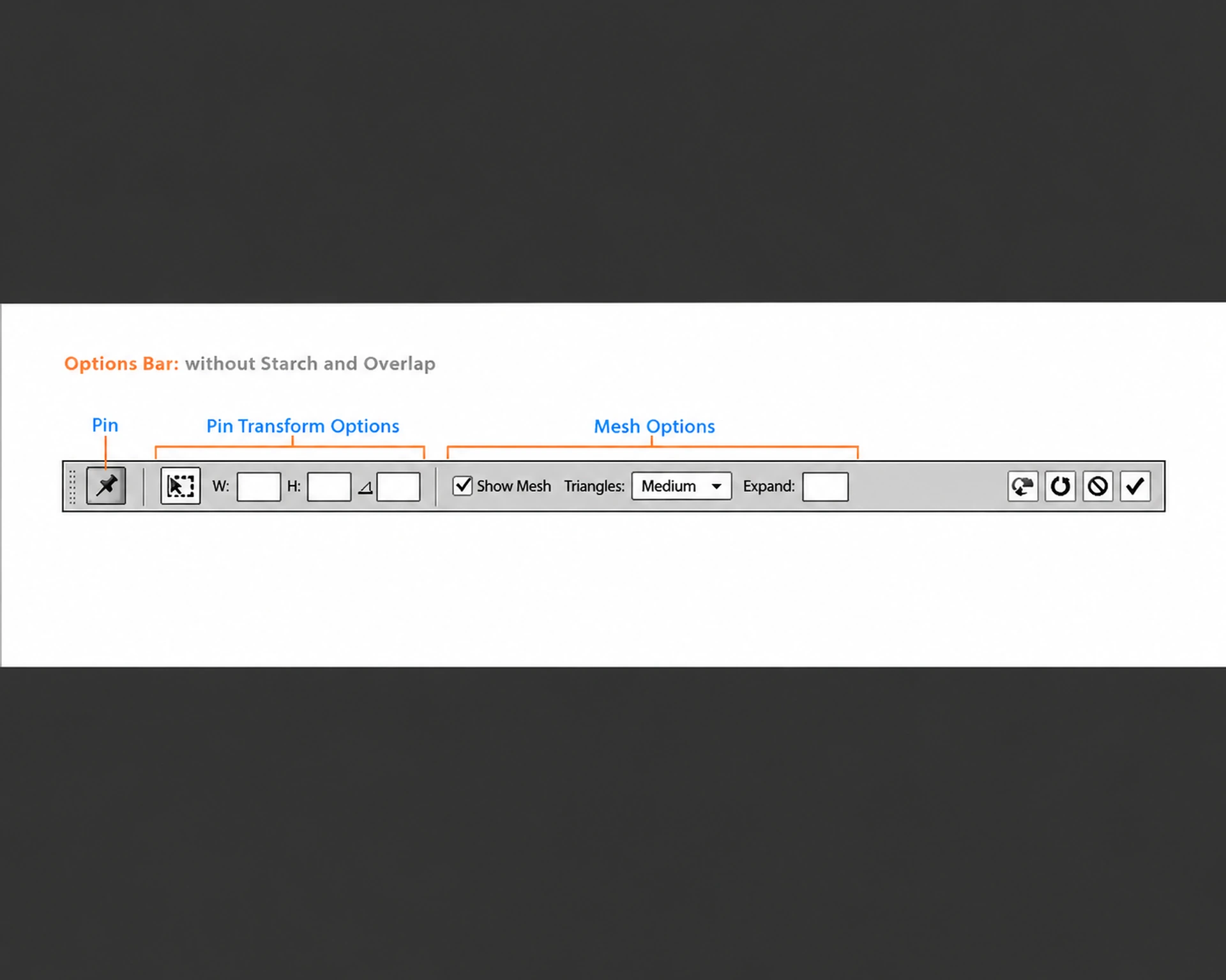 Option Bar