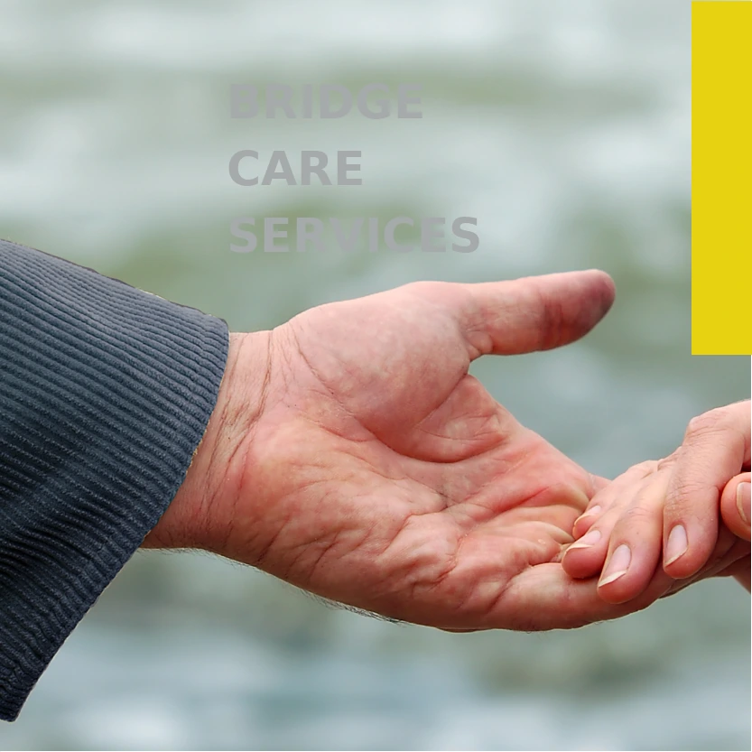BridgeCare